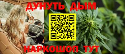 прущие крисы Моздок
