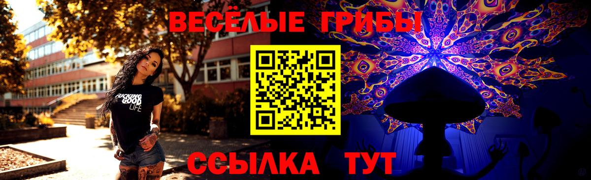 Псилоцибиновые грибы Cubensis Верхняя Пышма